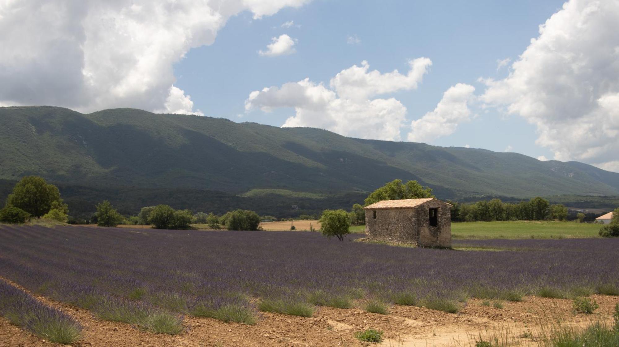 Studio Dans Le Luberon Céreste Exterior photo
